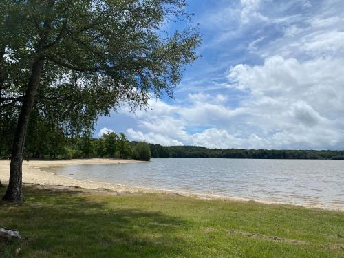 Camping de la Forêt Seasonova - Camping - Sillé-le-Guillaume