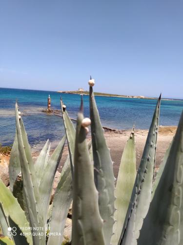 Casa vacanze Sciatu di Mari