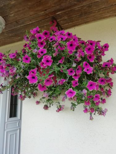 Bienchezmoi chambre d'hôte Clisson