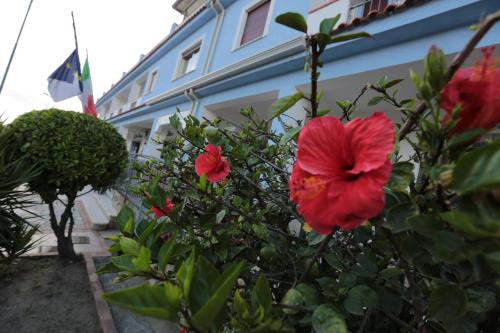 Hotel Sea Breeze, Scalea bei SantʼElia