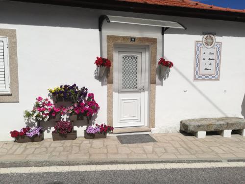 A Tasca, Vila Real (fotografie 8)