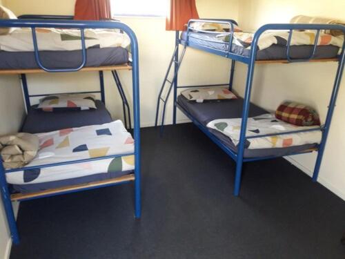 4-Bed Mixed Dormitory Room