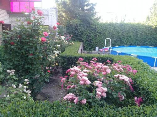 Guest house Shturman - image 9