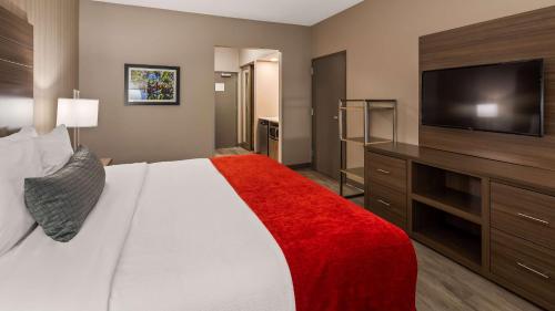 1 king bed