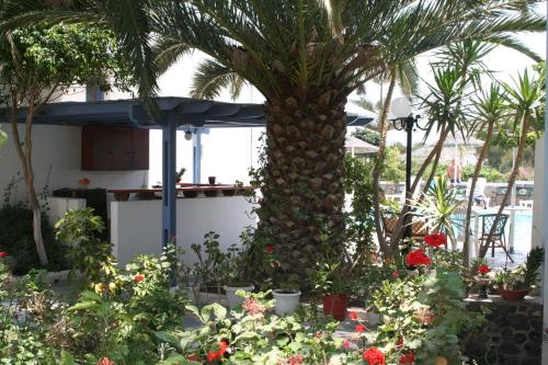 Hotel Kalma - image 3