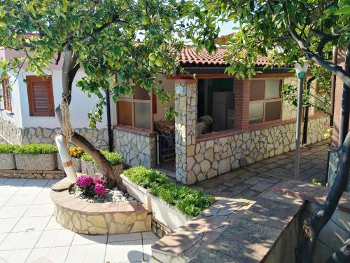 2 bedrooms house at Marina di Camerota 300 m away from the beach with shared pool enclosed garden and wifi gîte à louer Camerota