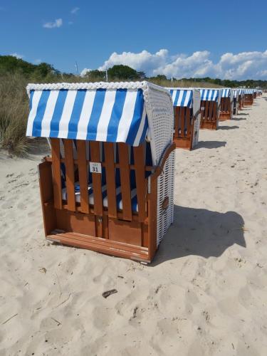 ชายหาด, AB Musiol in การ์ซิบูร์