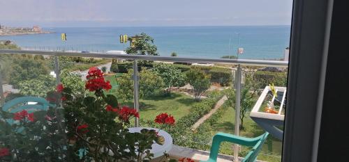 Villa Flaga, 