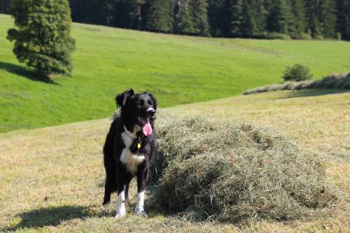 菲尔恩霍夫格达酒店