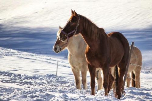 菲尔恩霍夫格达酒店