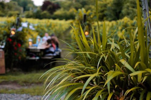 Franciacorta Country Lodges