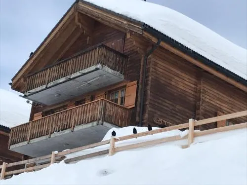 Silberdistel in Belalp, Schweiz