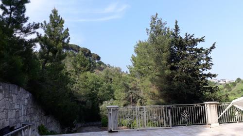 Parco dei Gelsomini