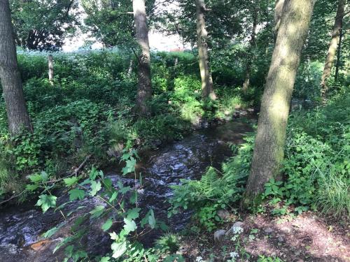 運動及活動, Apartman Q11 in 索科洛夫