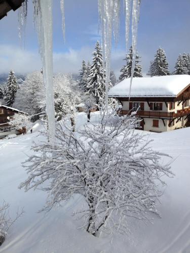 Le Caprice Des Neiges