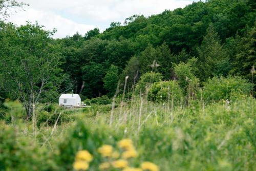 Tentrr - El Dorado Camp - image 6