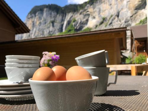 Clean and Comfy with Garden Terrace and Parking - Apartment - Lauterbrunnen