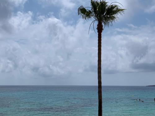  Apartamentos Alborada in Cala Millor