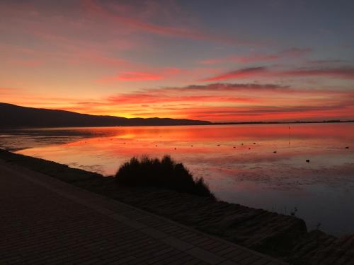 הסביבה הקרובה, B&B Tony and Judy in אורבטלו