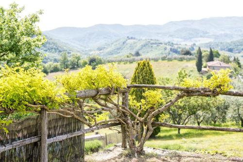 Agriturismo La Sala