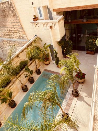 Photo 36 Lulu Boutique Hotel