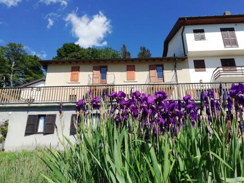 Rifugio Campiglio - Hotel - Dumenza