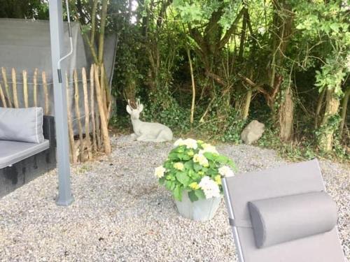 Les Jardins De La Ferme De Durbuy