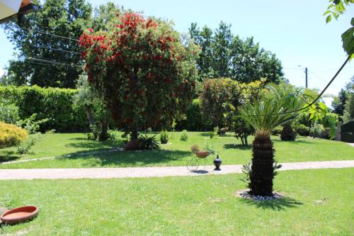  The Oak´S Wolf-Country House in Fafe