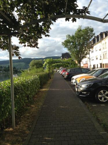 Mosel Panorama