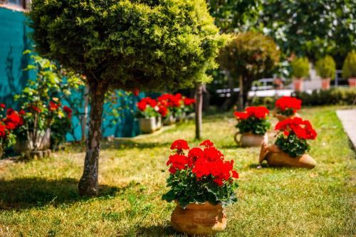 Studios Nada - image 3