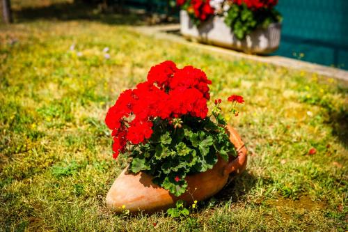 Studios Nada - image 2