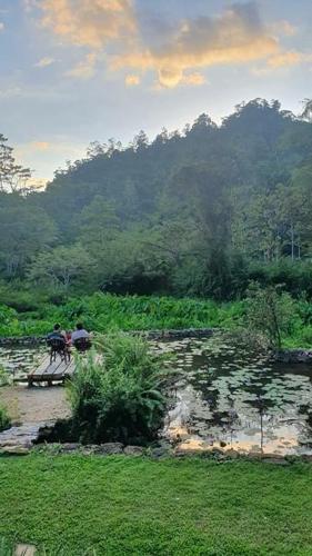 Sinharaja Forest Edge