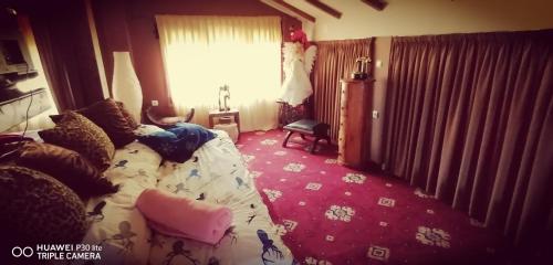  The House in the Meadow in Ioannina