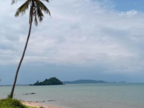 Win Gray Homestay Resort - 주변 환경