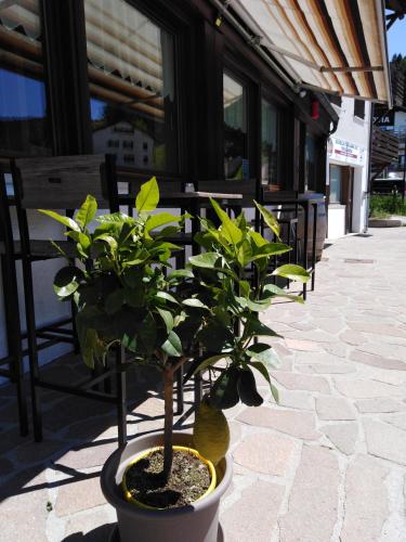 Hotel Francolini - image 4