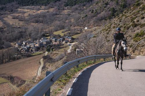 apartaments casa lassero in Guingueta