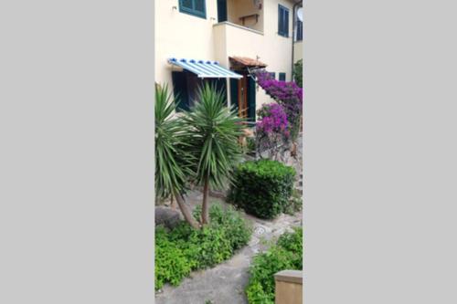 Casa Elicriso in Capraia