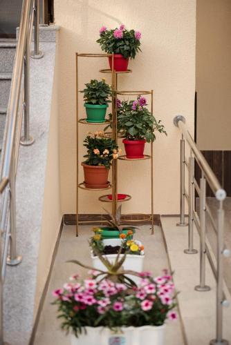 Casa Octaral - image 5