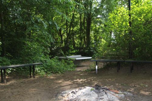 De Biesenberg, Ulestraten (photo 6)