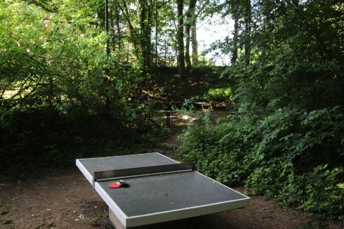 De Biesenberg, Ulestraten (photo 7)
