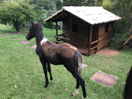 Chalés de Minas Hotel Fazenda