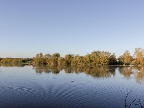 2 Ashby Place - image 6