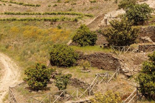 Quinta Nova Winery House - Relais & Châteaux