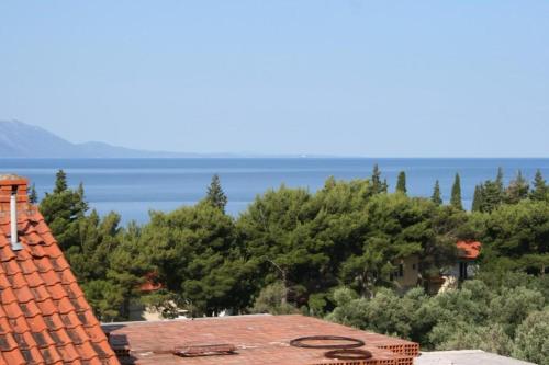 Apartments with a parking space Gradac Makarska - 2784 - image 6