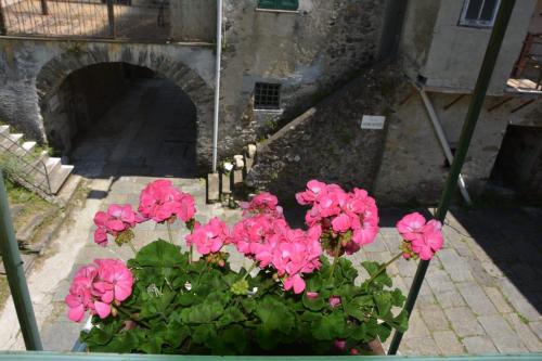  Agriturismo Ghirlanda Norma Rita in Carrodano Inferiore