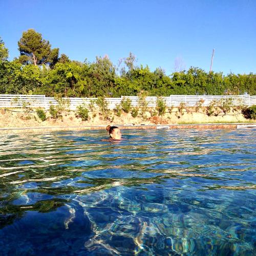 Swimming pool, Agriturismo La Collina dei Cavalieri in Belvedere Ostrense