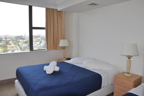 Accommodation Sydney - Hyde Park Plaza - image 14