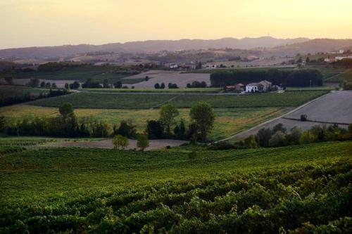 Cascina Olivetta -sleep in winery