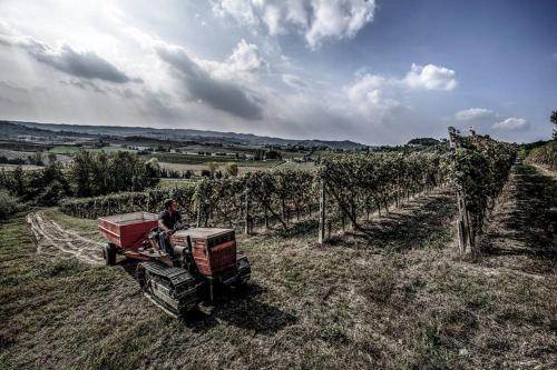 Cascina Olivetta -sleep in winery