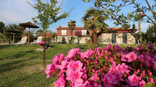 Quinta Lama de Cima - image 7